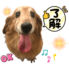 [LINEスタンプ] ラルクさんスタンプ9