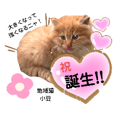 [LINEスタンプ] 地域猫の愉快なスタンプ6