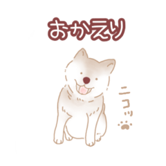 [LINEスタンプ] わん。の挨拶