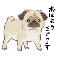 [LINEスタンプ] パグ(歌好き)【修正版】