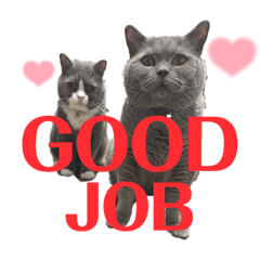 [LINEスタンプ] 犬猫三昧①②