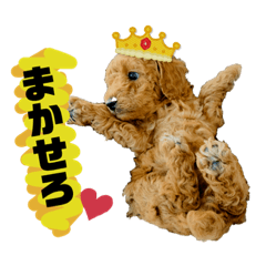 [LINEスタンプ] ゆめプーfamily！