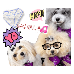 [LINEスタンプ] すずつむ心愛fam