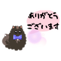 [LINEスタンプ] ポメラニアンのチョコ日常スタンプ