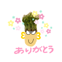 [LINEスタンプ] 毎日使える「かいわれ頭のお兄ちゃん」