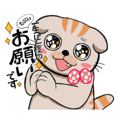 [LINEスタンプ] 毎日『ペタ猫』。