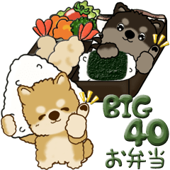 [LINEスタンプ] 【Big】ちゃちゃ丸 40『お弁当どうぞ！』