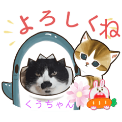 [LINEスタンプ] コッコちゃん大好きの画像（メイン）