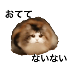 [LINEスタンプ] もこリコねこと仲間たち③