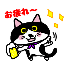 [LINEスタンプ] はちわれ猫ロック【よく使う】