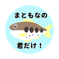 [LINEスタンプ] シンプル人間動物日常 オープンチャット風