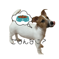 [LINEスタンプ] ちぃのぱぴいすたんぷ2。