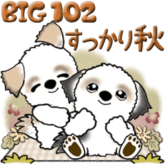 [LINEスタンプ] 【Big】シーズー犬 102『秋も深まり...』
