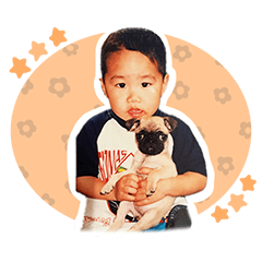 [LINEスタンプ] ひまわりたんスタンプ