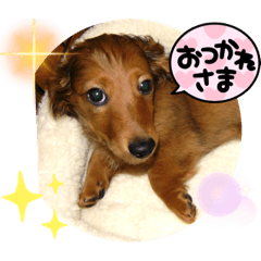 [LINEスタンプ] ラルクさんスタンプX