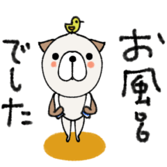 [LINEスタンプ] mottoのいぬスタンプ♡日常