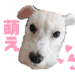 [LINEスタンプ] マチューのベストライフ第1弾
