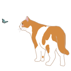 [LINEスタンプ] N町の猫たち