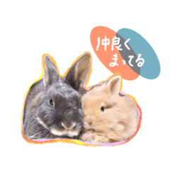 [LINEスタンプ] ぽにとにこ