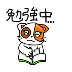 [LINEスタンプ] 学校生活で使えるスタンプ