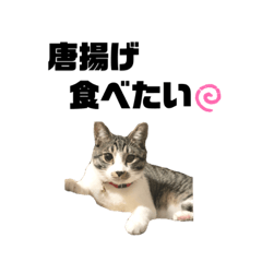 [LINEスタンプ] うちの子家族連絡用