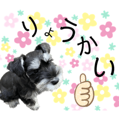 [LINEスタンプ] アーニャ号の日常