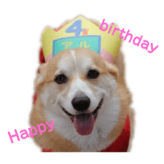 [LINEスタンプ] アルの楽しい毎日
