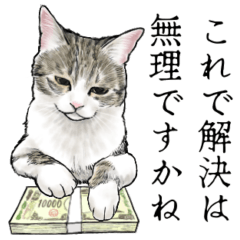 [LINEスタンプ] 意外と使える！やや丁寧なリアル猫スタンプ