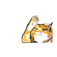 [LINEスタンプ] 猫スタンプ20221018の画像（メイン）