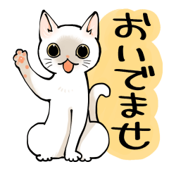 [LINEスタンプ] 山口弁をしゃべる猫
