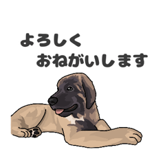 [LINEスタンプ] レオンベルガー1