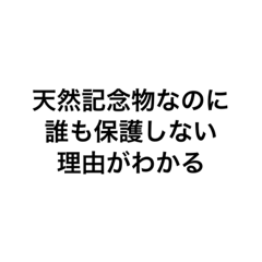 [LINEスタンプ] あとるみスペシャル 煽りの極み