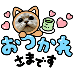 [LINEスタンプ] チンチラシルバー☆ジェシーちゃん(3)