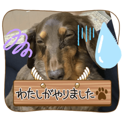 [LINEスタンプ] ズボラクレア