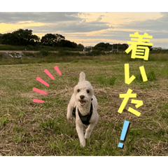 [LINEスタンプ] リンとユウのスタンプ5