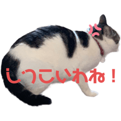 [LINEスタンプ] 天才そらちんの友達