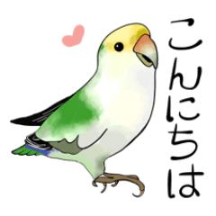 [LINEスタンプ] コザクラインコ ぴーもの毎日スタンプ