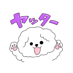 [LINEスタンプ] ふわっふわのビションフリーゼ