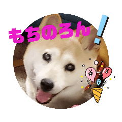 [LINEスタンプ] さくらと一緒 5