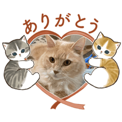 [LINEスタンプ] ニャンコのレオン