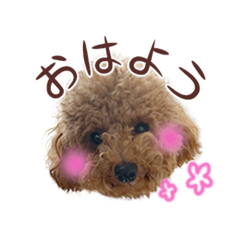 [LINEスタンプ] きらちゃん0101