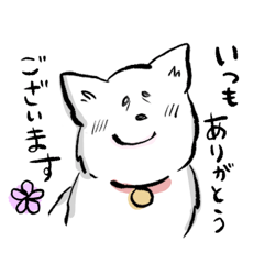 [LINEスタンプ] たまさんちのホゴイヌスタンプ