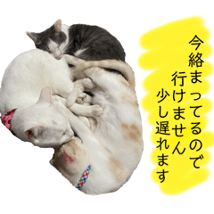 [LINEスタンプ] メルミュウウニ③