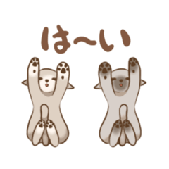 [LINEスタンプ] 二匹の猫のスタンプ