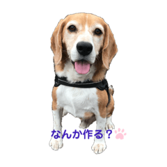 [LINEスタンプ] オレは茶々丸③