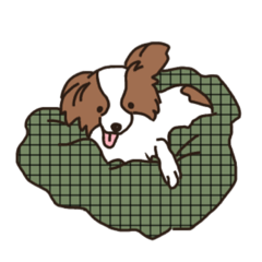 [LINEスタンプ] うちの犬ベストセレクション2・パピヨン