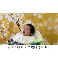[LINEスタンプ] 花ママ、