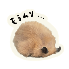 [LINEスタンプ] キンクマのキンちゃん4