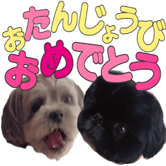 [LINEスタンプ] ママが大好きなもこぞう＆うにまる