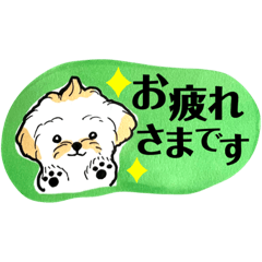 [LINEスタンプ] ふわぼさマルプーのチャイくん2